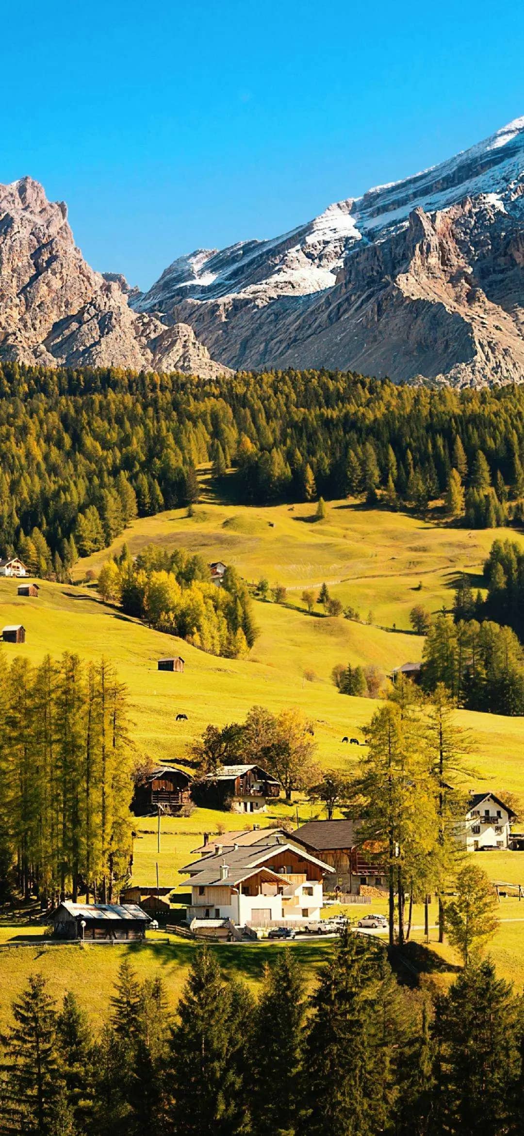 今日壁纸|人有逆天之时,天无绝人之路