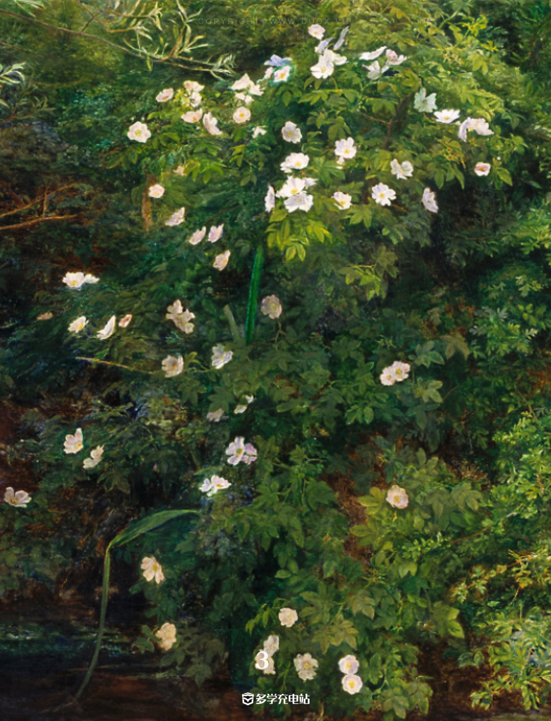 每日一画|《奥菲利亚 》1852年   约翰·埃弗里特·米莱斯