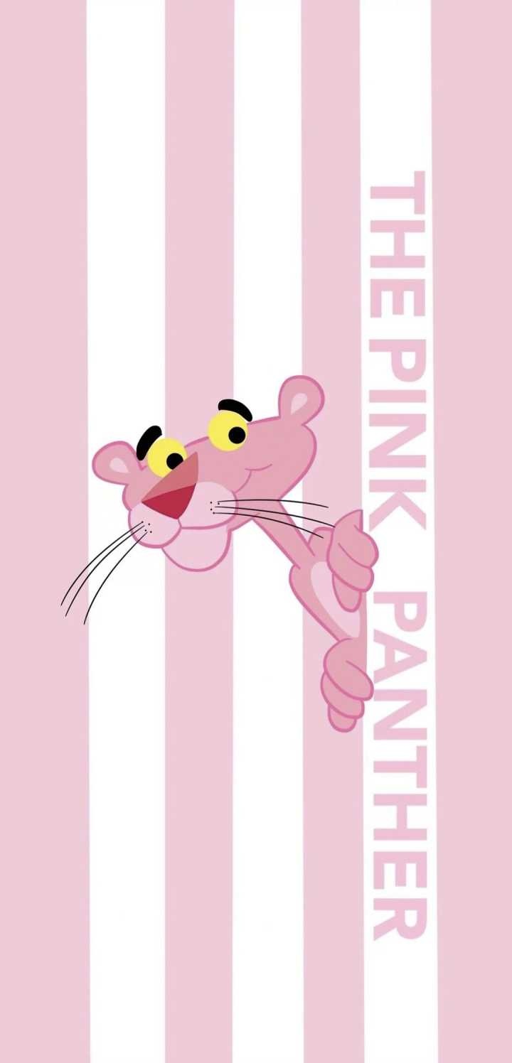 壁纸｜星光不问赶路人，时光不负有心人。