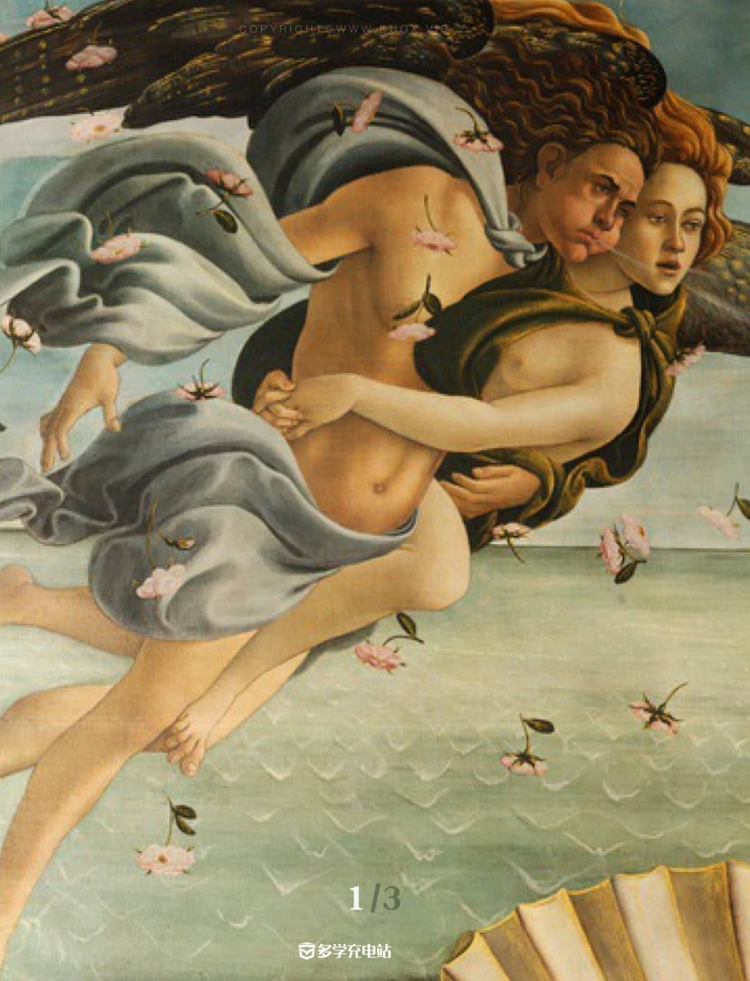 每日一画|《维纳斯的诞生》1485 波提切利 名画赏析