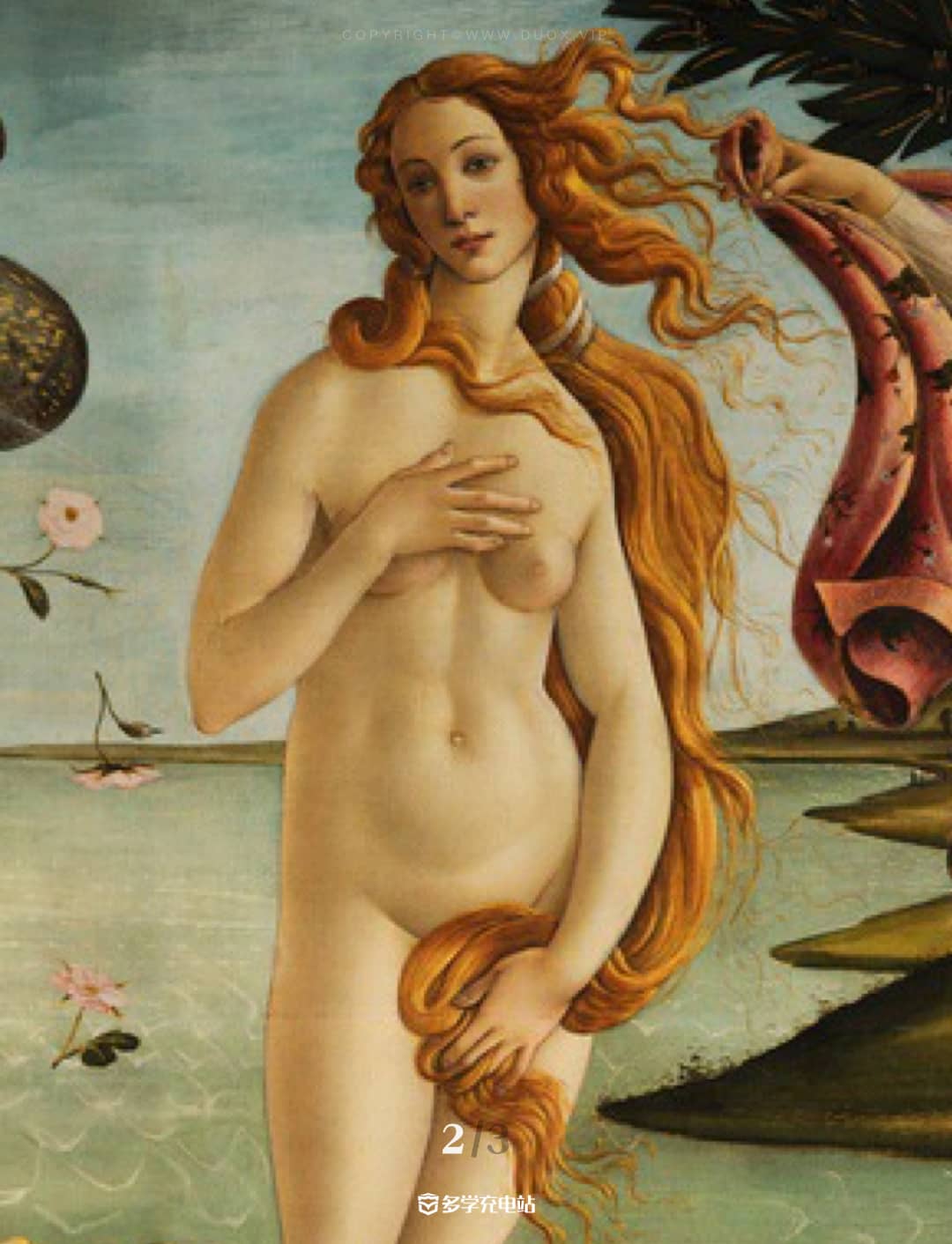 每日一画|《维纳斯的诞生》1485 波提切利 名画赏析