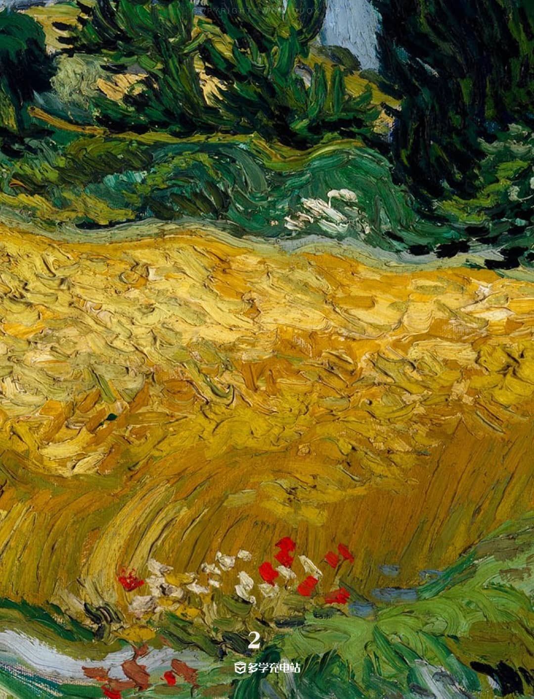 每日一画｜《麦田与柏树》1889 文森特·梵高