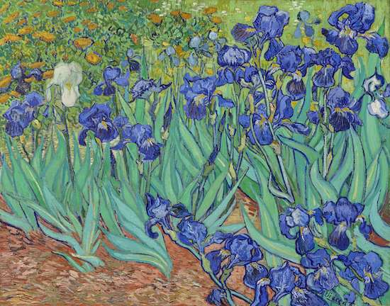 《鸢尾花》- 梵高  Irises 1889年 – Vincent van Gogh  TIF/JPG下载