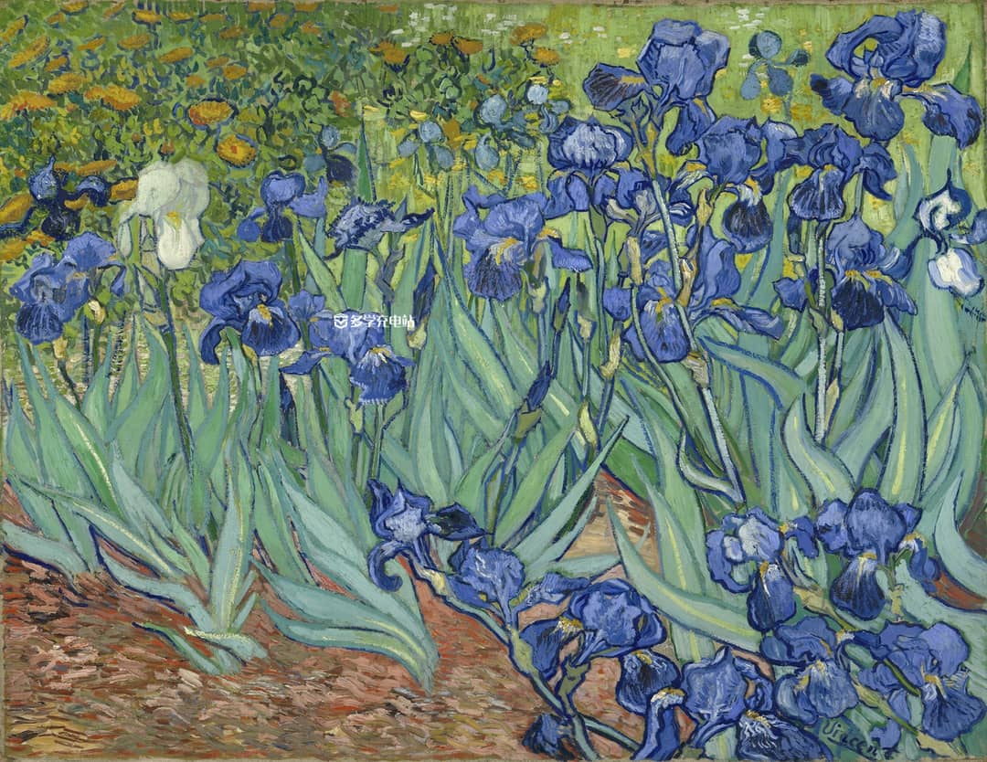《鸢尾花》-文森特·威廉·梵高1889年Irises 高清下载