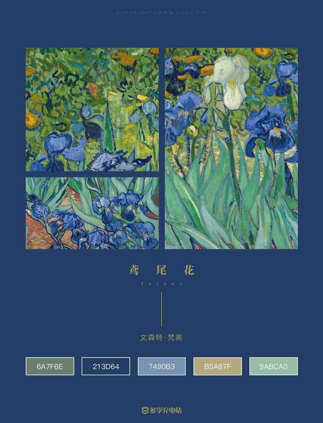 每日一画｜《鸢尾花》Irises 1889年   文森特·梵高  鸢尾花赏析