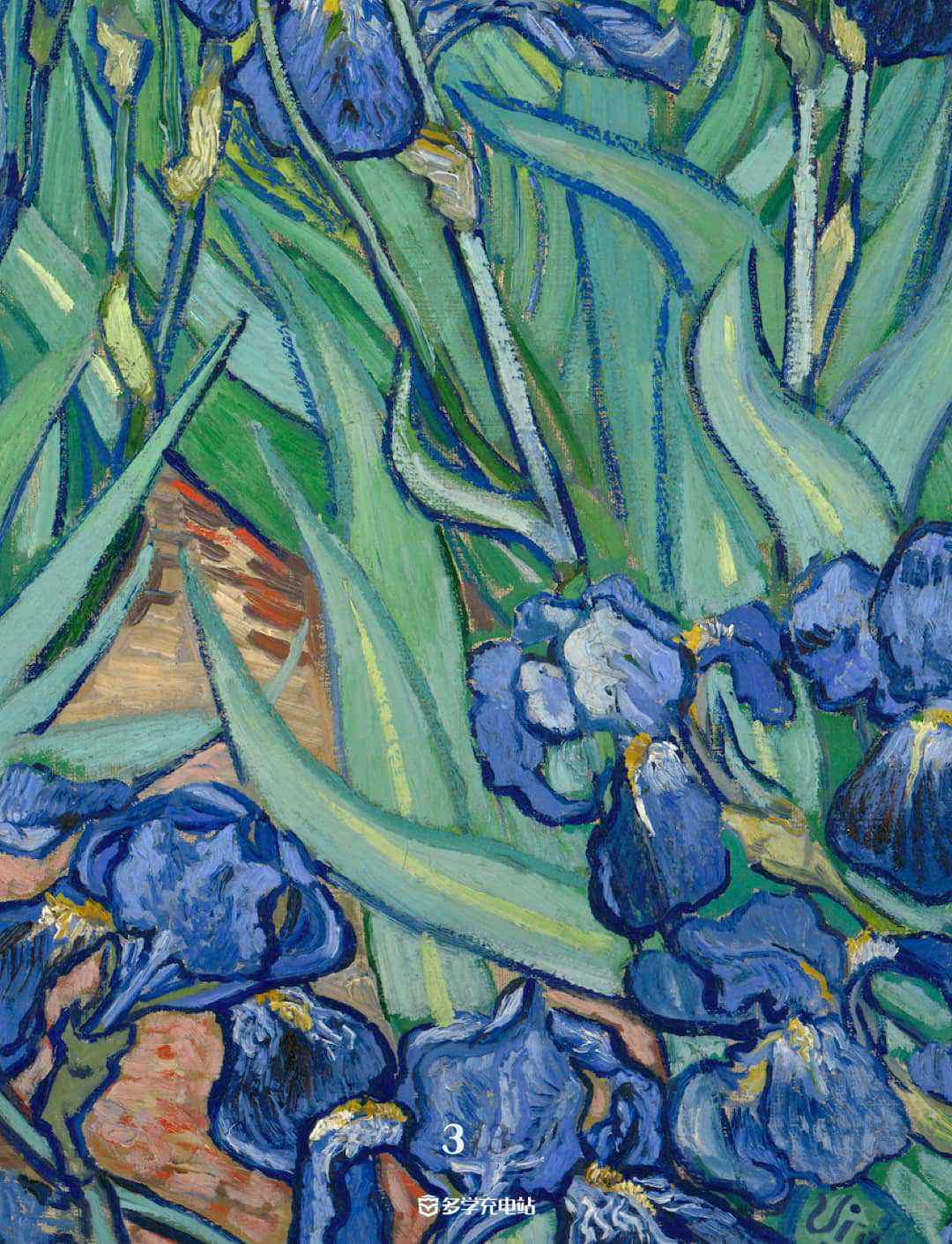 每日一画｜《鸢尾花》Irises 1889年   文森特·梵高  鸢尾花赏析