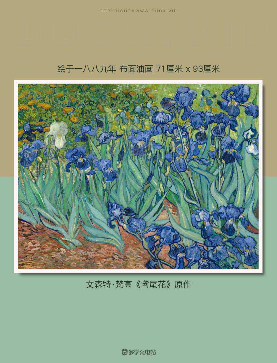 每日一画｜《鸢尾花》Irises 1889年   文森特·梵高  鸢尾花赏析