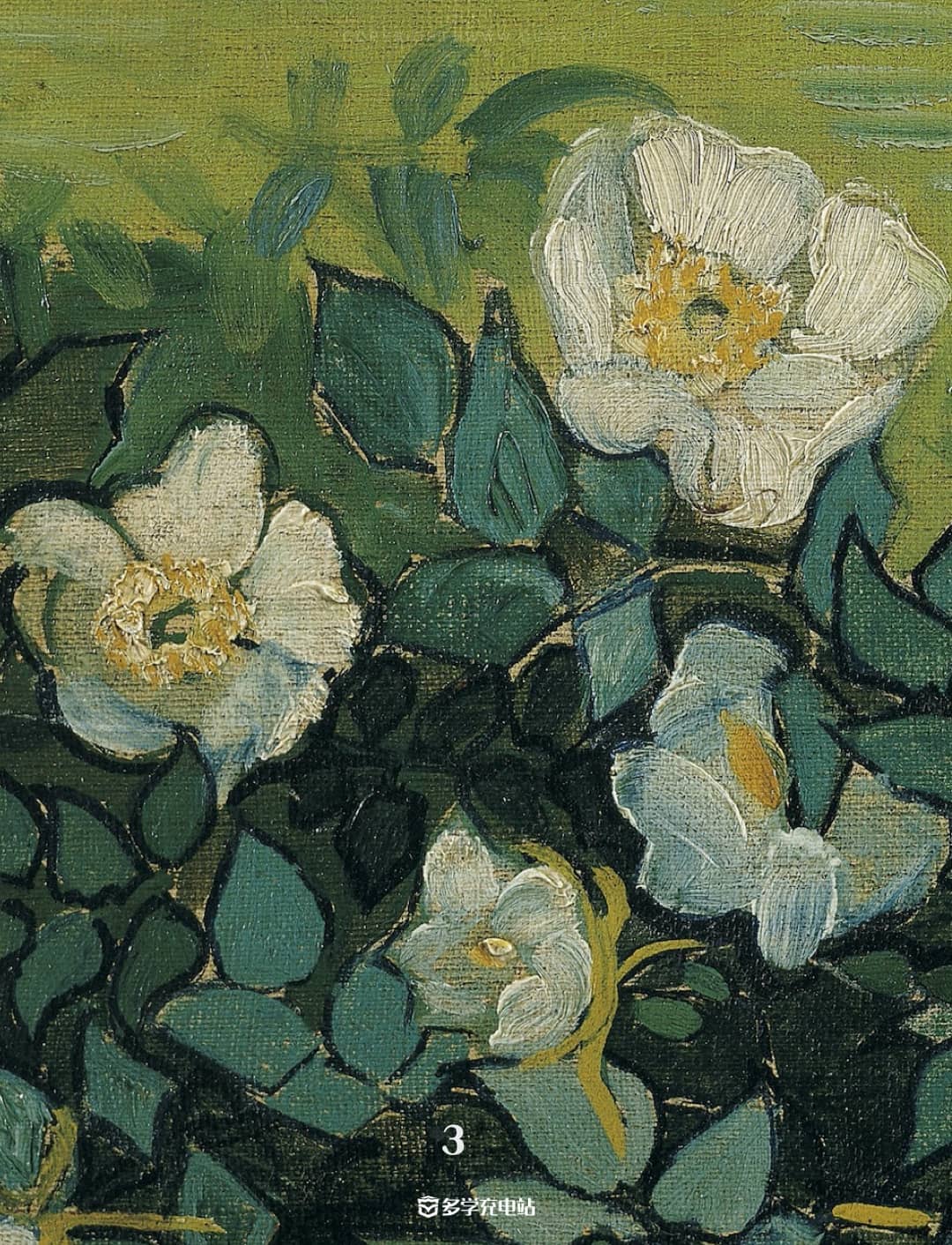 每日一画｜《野玫瑰》1890 文森特·梵高  赏析下载