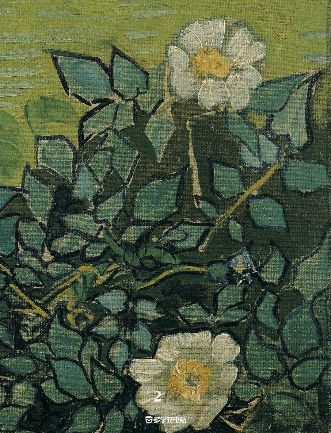 每日一画｜《野玫瑰》1890 文森特·梵高  赏析下载