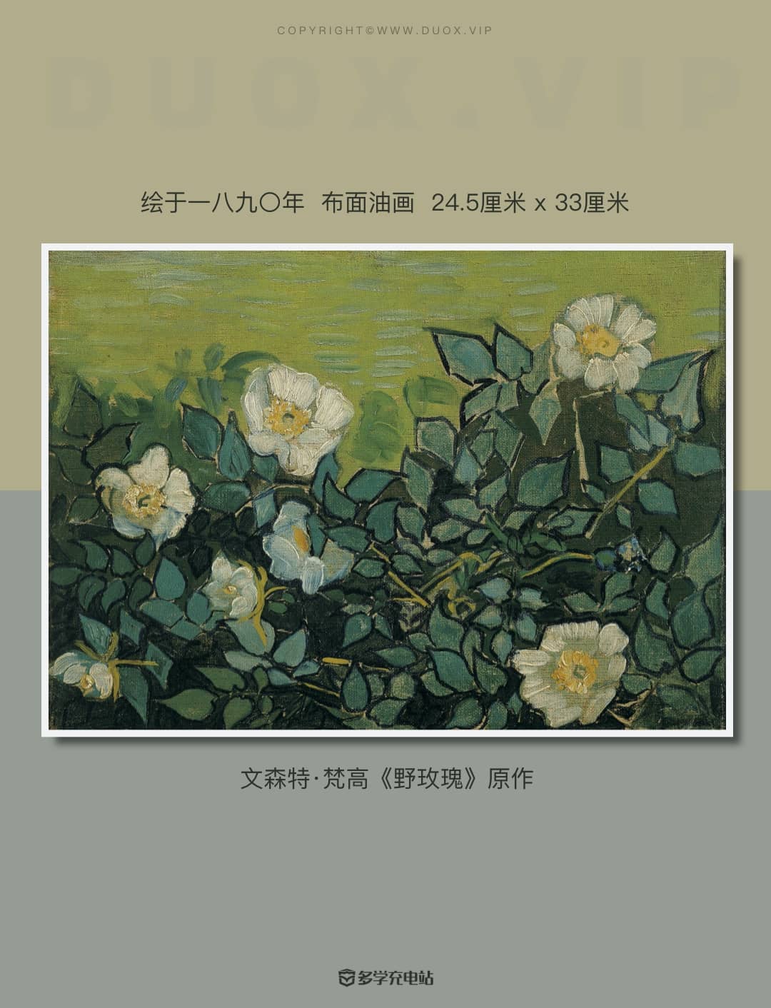 每日一画｜《野玫瑰》1890 文森特·梵高  赏析下载