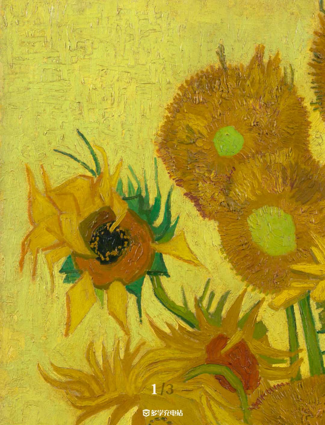 每日一画｜《十五朵向日葵》1889年 文森特·梵高