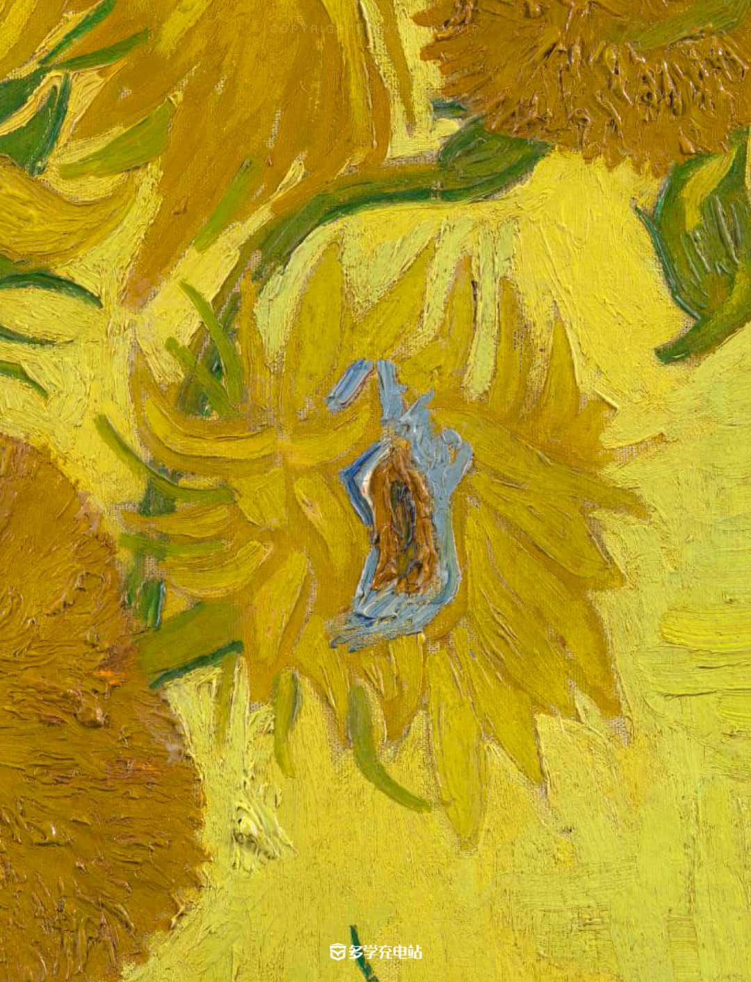 每日一画｜《十五朵向日葵》1889年 文森特·梵高