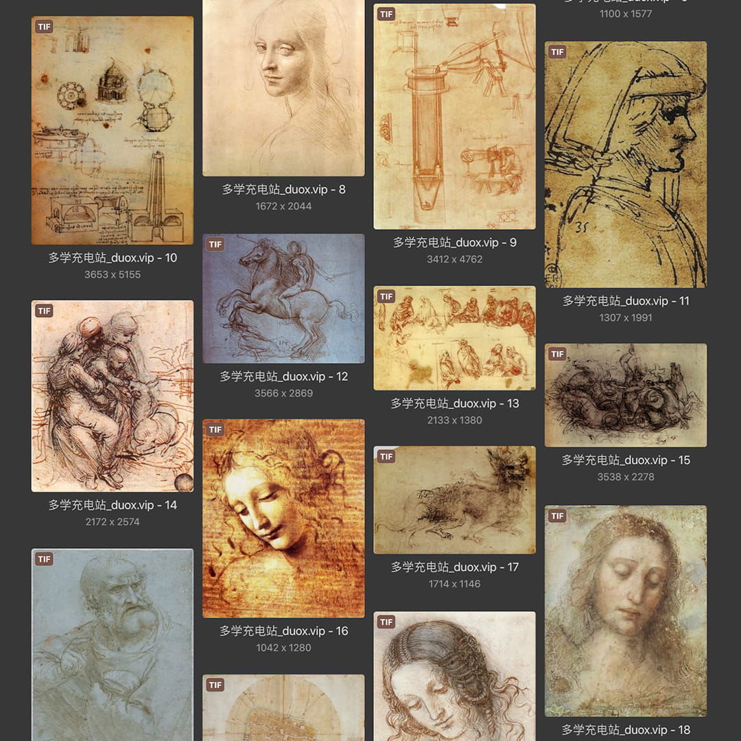 列奥纳多·达芬奇Leonardo da Vinci 意大利16世纪文艺复兴油画合集238副 [TIF/JPG 6.3GB] H040