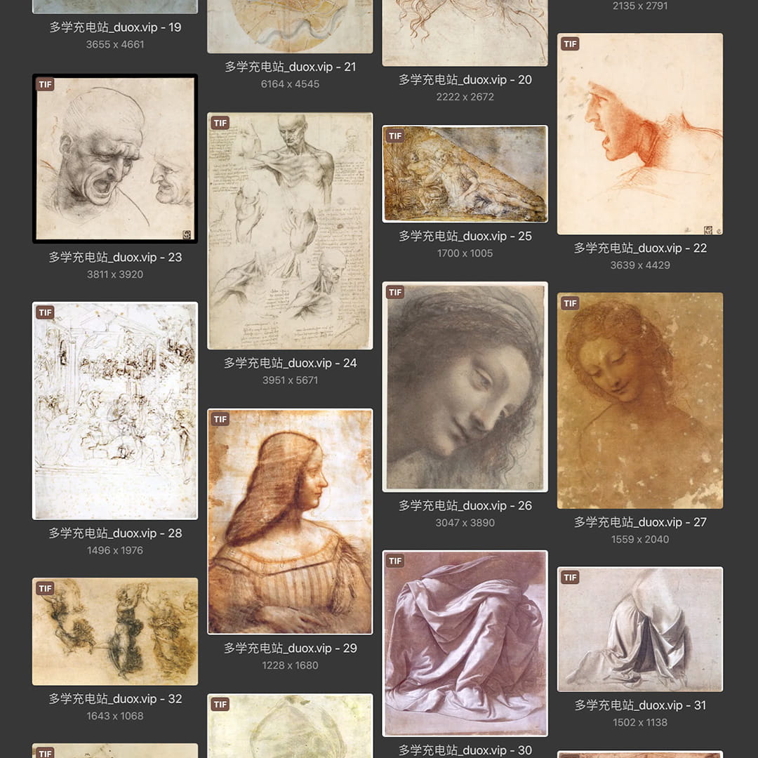 列奥纳多·达芬奇Leonardo da Vinci 意大利16世纪文艺复兴油画合集238副 [TIF/JPG 6.3GB] H040