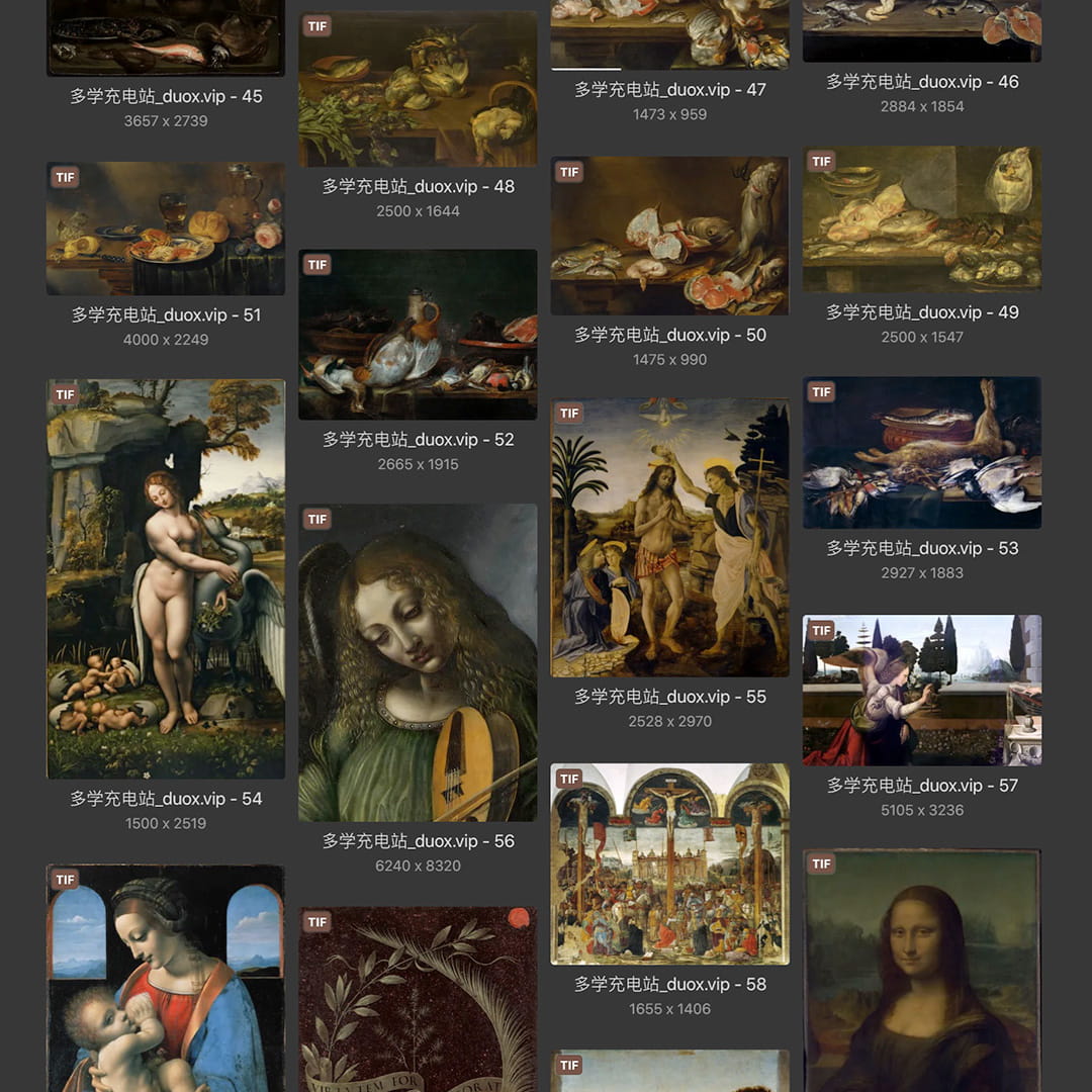 列奥纳多·达芬奇Leonardo da Vinci 意大利16世纪文艺复兴油画合集238副 [TIF/JPG 6.3GB] H040