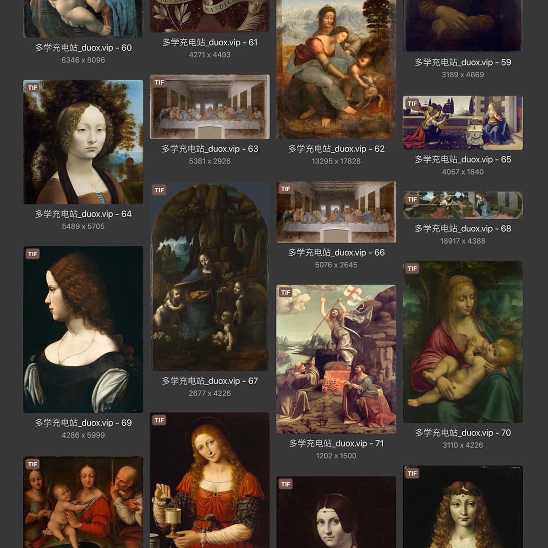 列奥纳多·达芬奇Leonardo da Vinci 意大利16世纪文艺复兴油画合集238副 [TIF/JPG 6.3GB] H040