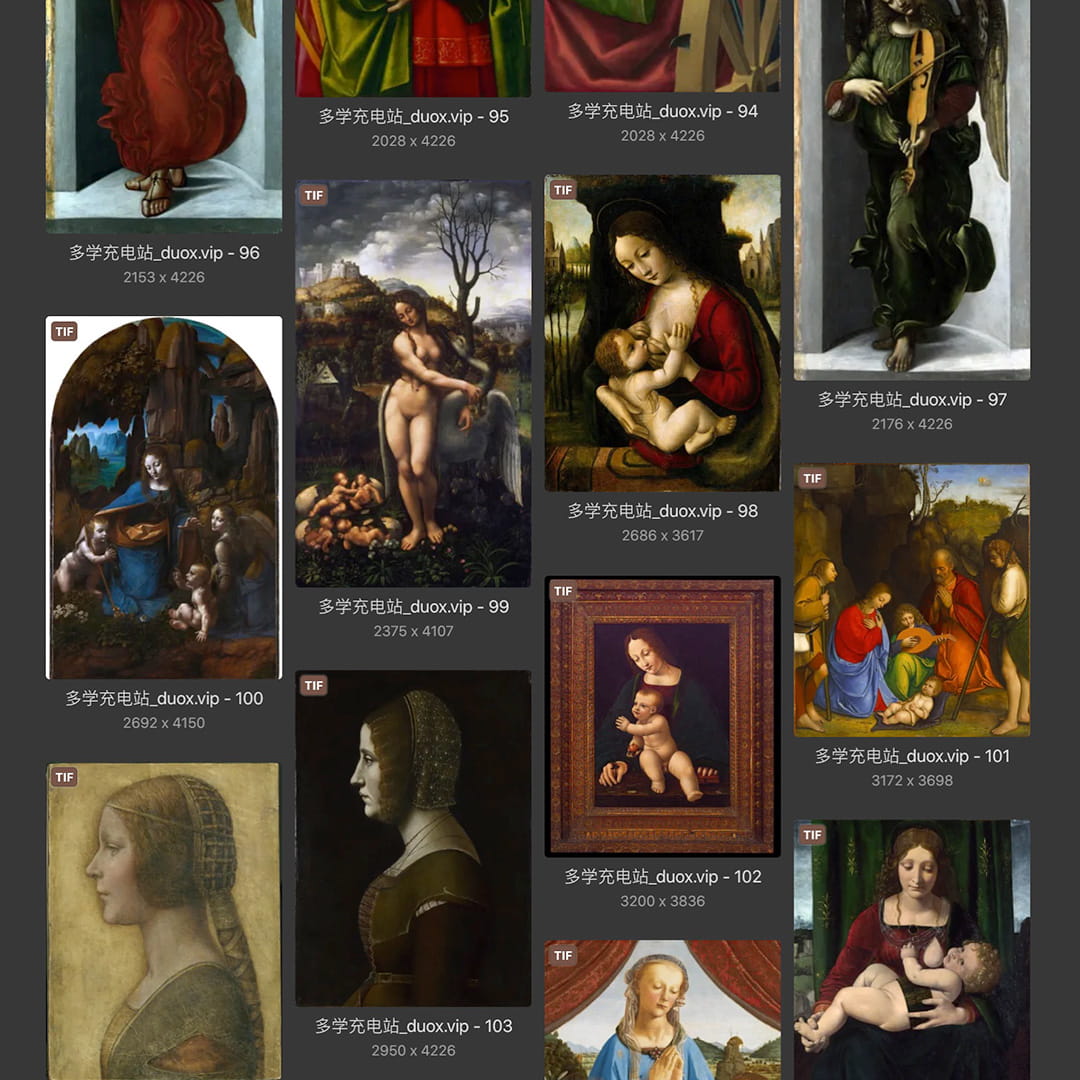 列奥纳多·达芬奇Leonardo da Vinci 意大利16世纪文艺复兴油画合集238副 [TIF/JPG 6.3GB] H040