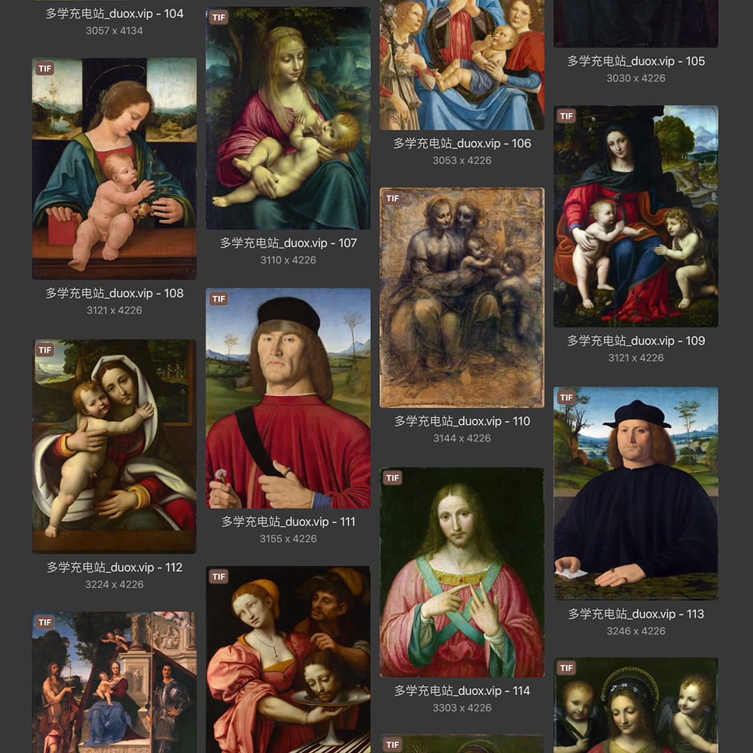 列奥纳多·达芬奇Leonardo da Vinci 意大利16世纪文艺复兴油画合集238副 [TIF/JPG 6.3GB] H040