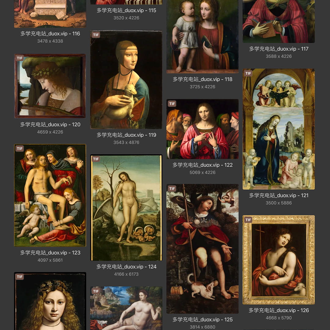 列奥纳多·达芬奇Leonardo da Vinci 意大利16世纪文艺复兴油画合集238副 [TIF/JPG 6.3GB] H040