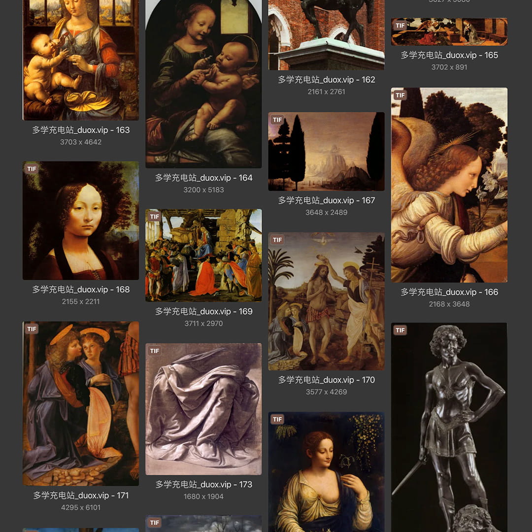 列奥纳多·达芬奇Leonardo da Vinci 意大利16世纪文艺复兴油画合集238副 [TIF/JPG 6.3GB] H040