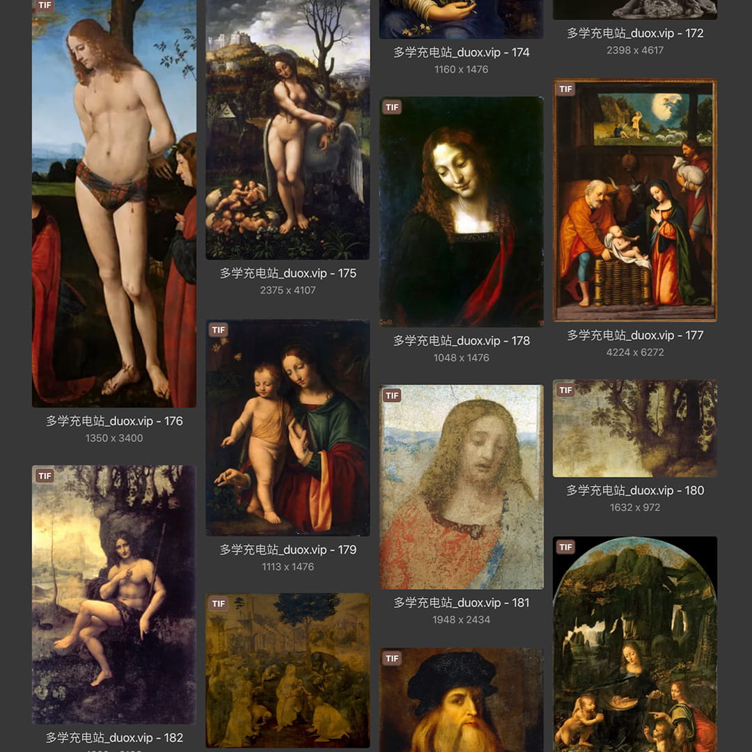 列奥纳多·达芬奇Leonardo da Vinci 意大利16世纪文艺复兴油画合集238副 [TIF/JPG 6.3GB] H040