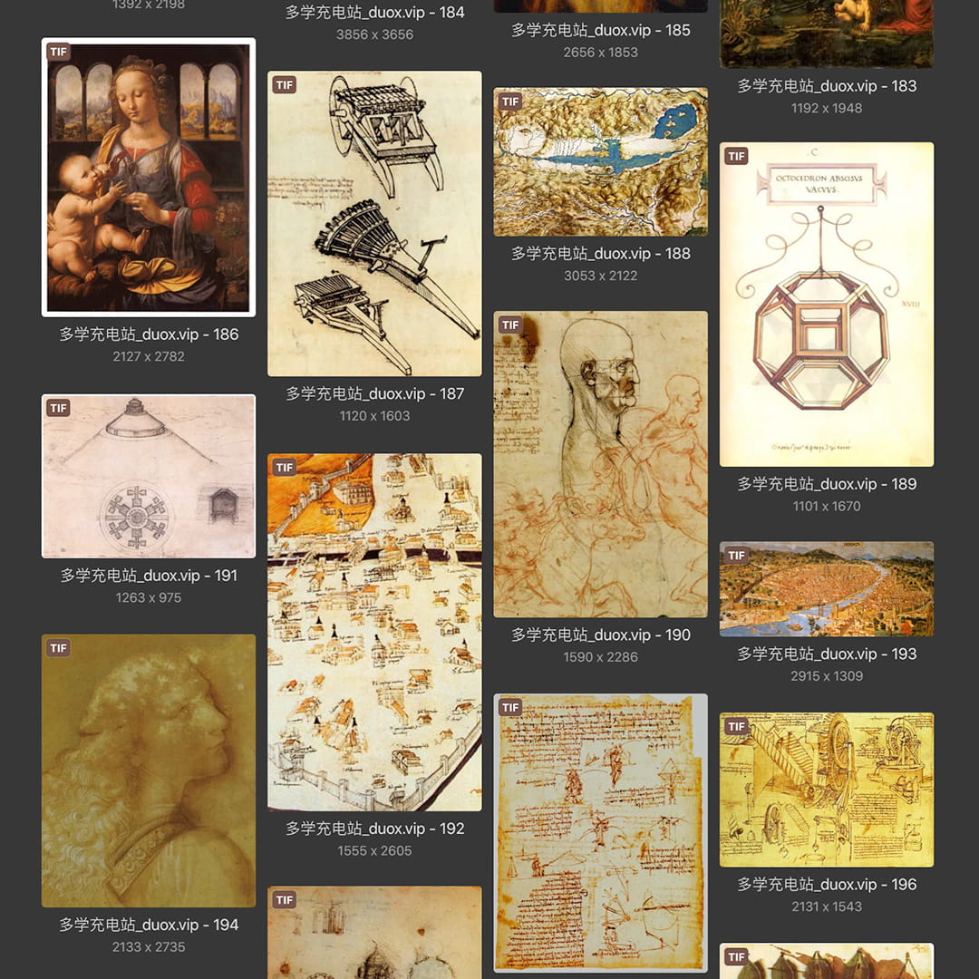 列奥纳多·达芬奇Leonardo da Vinci 意大利16世纪文艺复兴油画合集238副 [TIF/JPG 6.3GB] H040