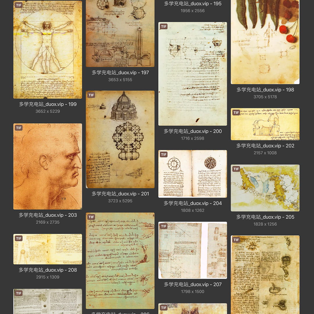 列奥纳多·达芬奇Leonardo da Vinci 意大利16世纪文艺复兴油画合集238副 [TIF/JPG 6.3GB] H040