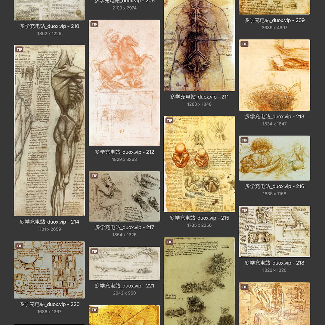 列奥纳多·达芬奇Leonardo da Vinci 意大利16世纪文艺复兴油画合集238副 [TIF/JPG 6.3GB] H040