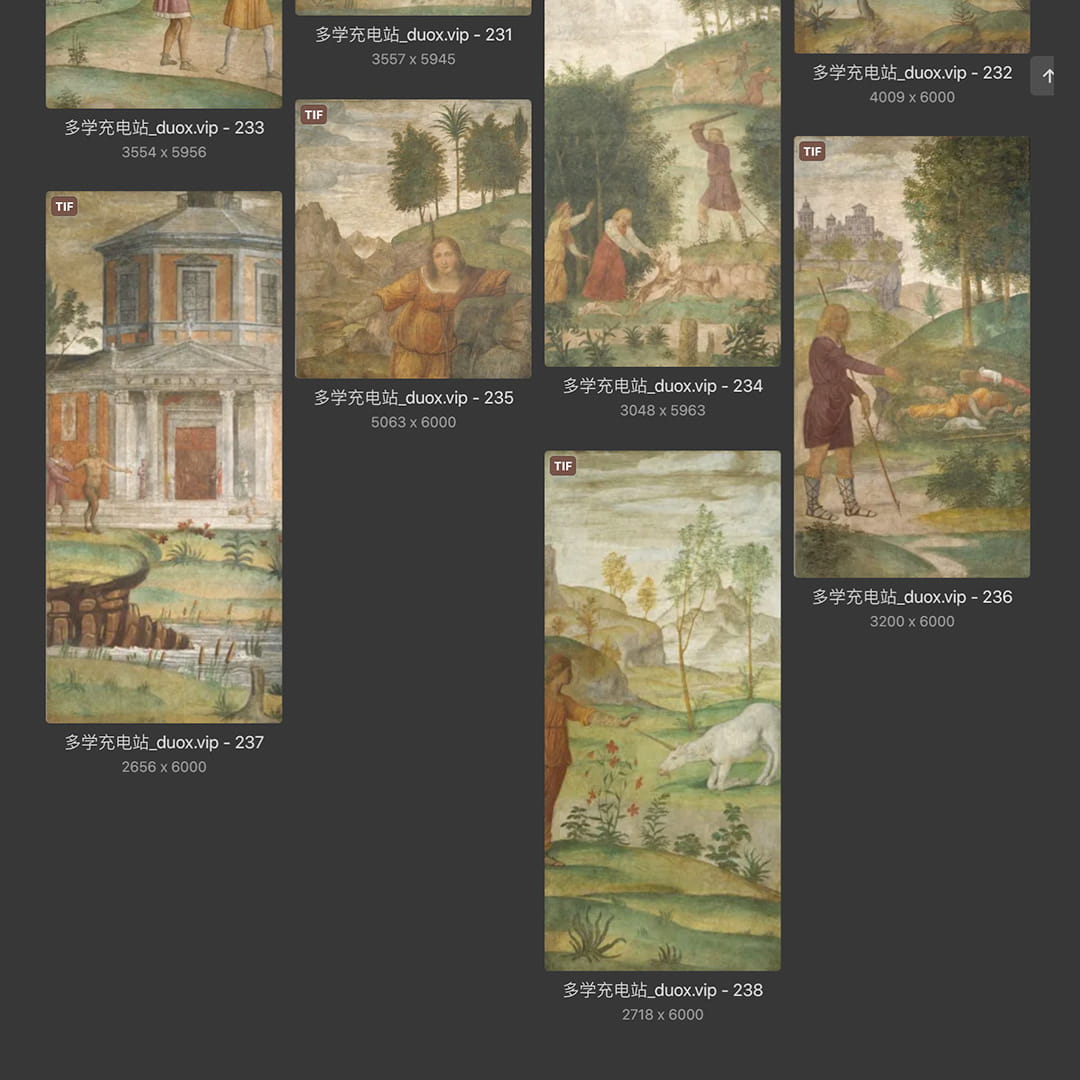 列奥纳多·达芬奇Leonardo da Vinci 意大利16世纪文艺复兴油画合集238副 [TIF/JPG 6.3GB] H040