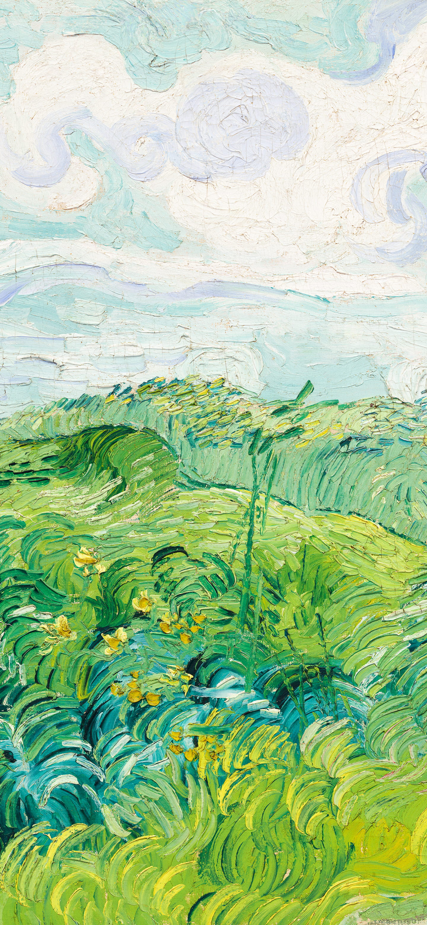 壁纸VOL.8｜梵高壁纸