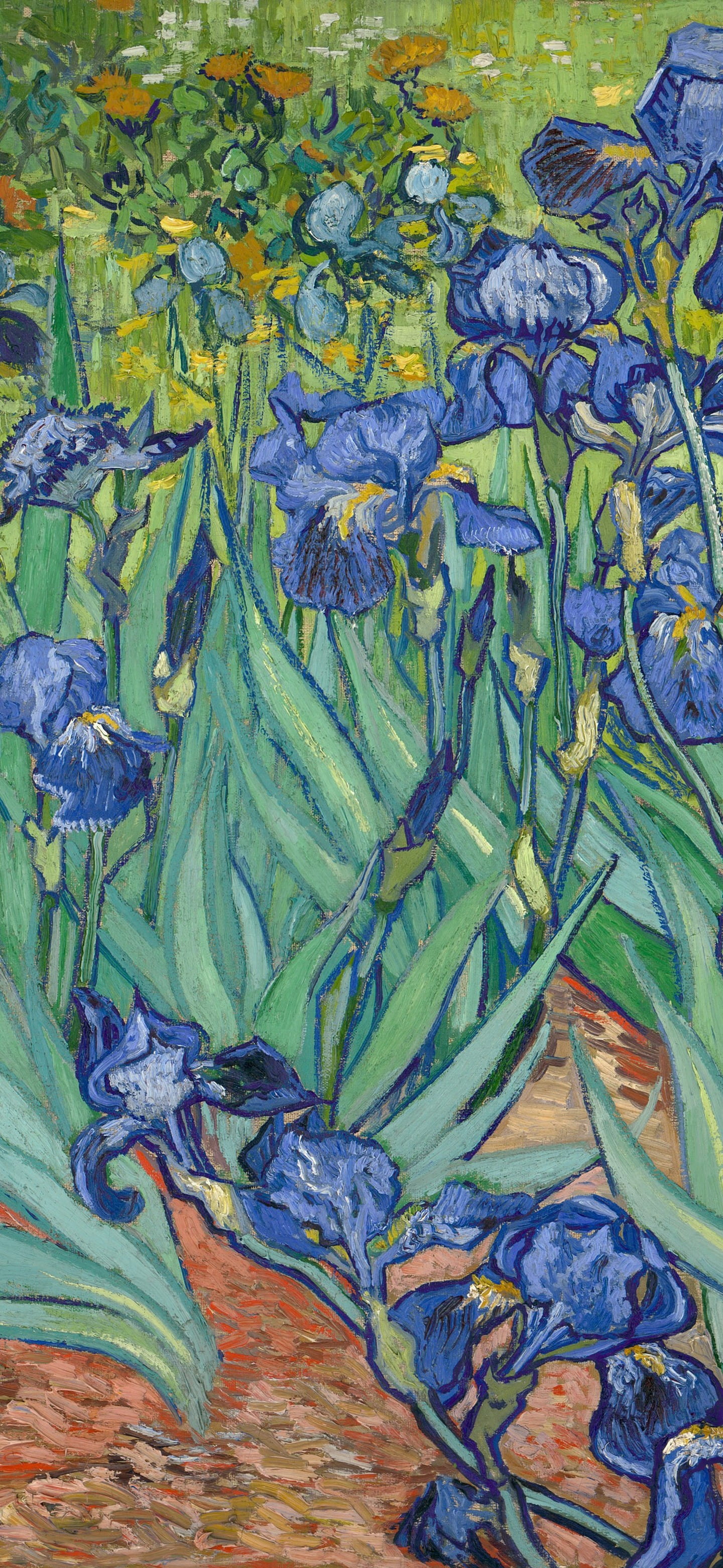 壁纸VOL.8｜梵高壁纸