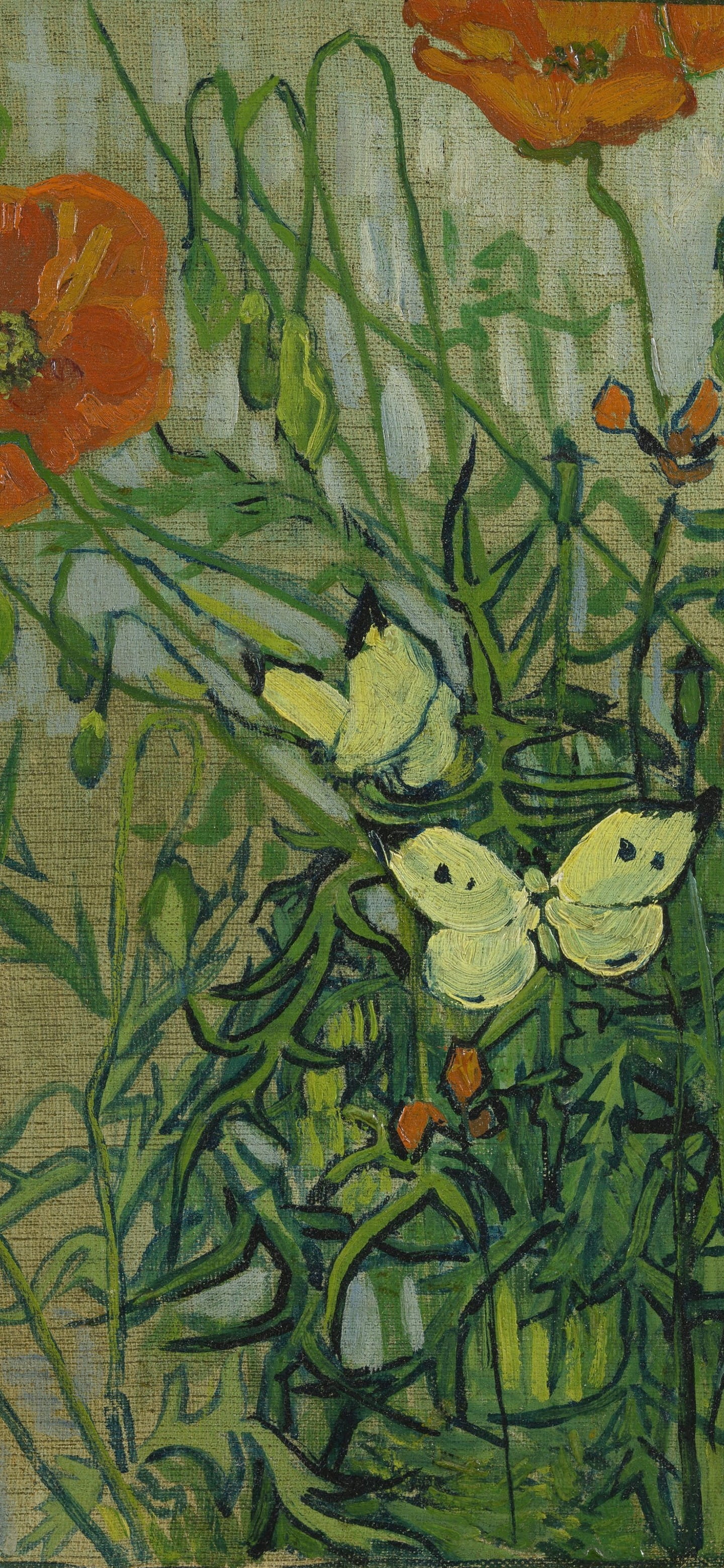 壁纸VOL.8｜梵高壁纸