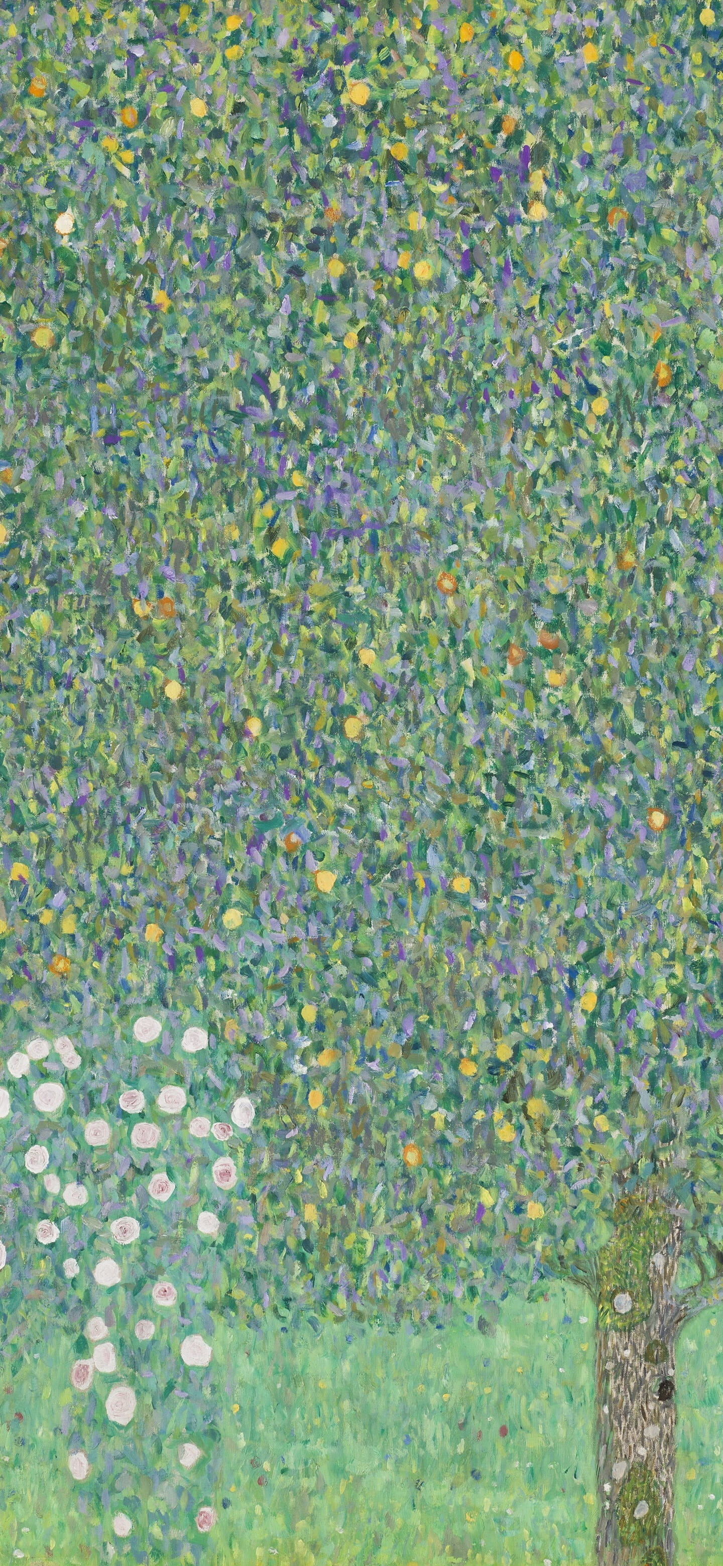 壁纸VOL.4｜野兽派and莫奈