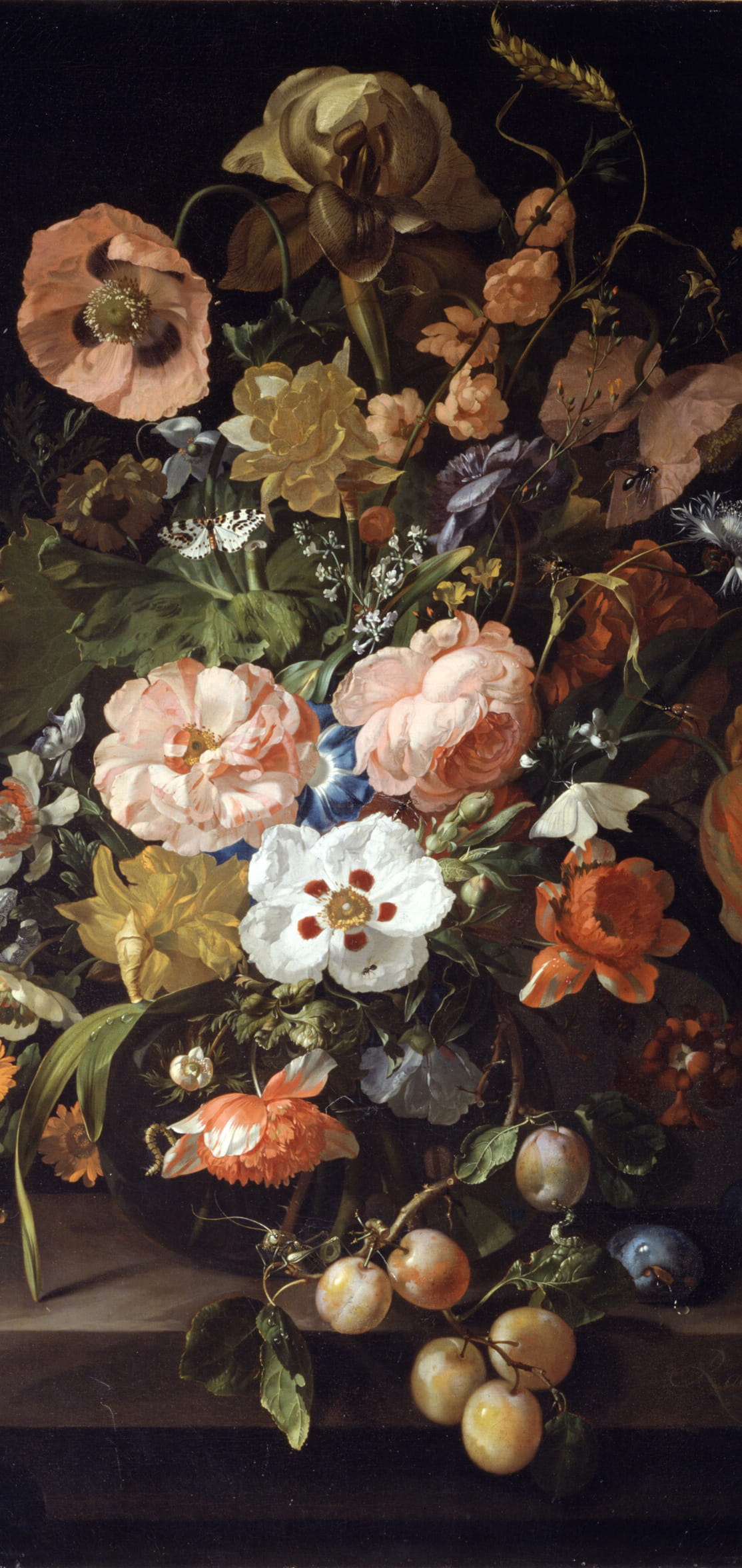 壁纸VOL.17｜花卉油画壁纸