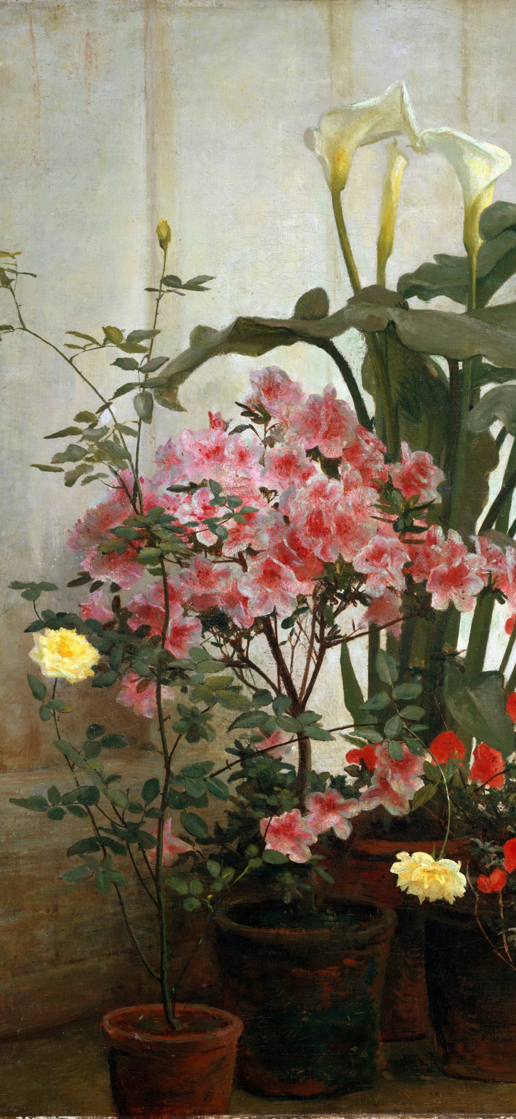 壁纸VOL.17｜花卉油画壁纸