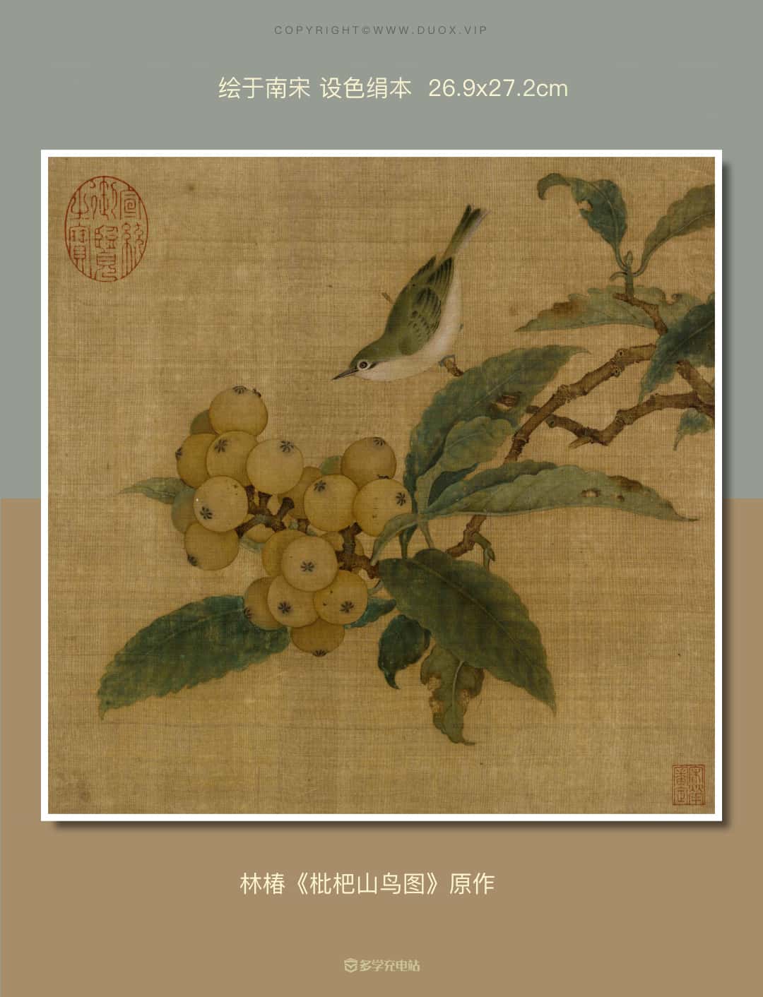 名画｜《枇杷山鸟图》南宋  林椿 赏析下载