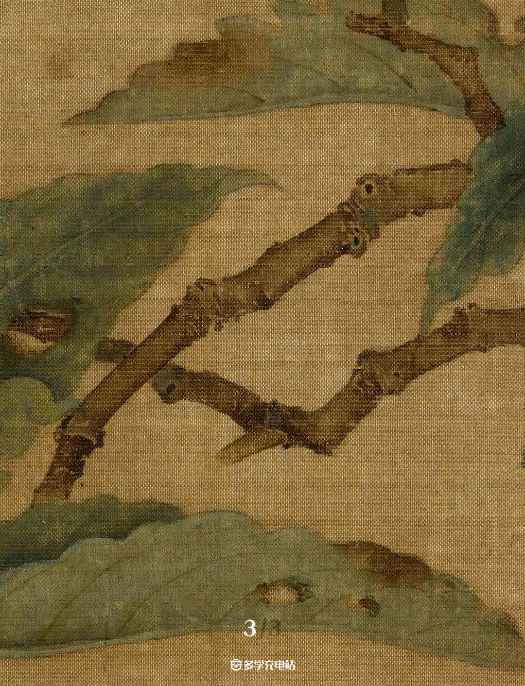 名画｜《枇杷山鸟图》南宋  林椿 赏析下载