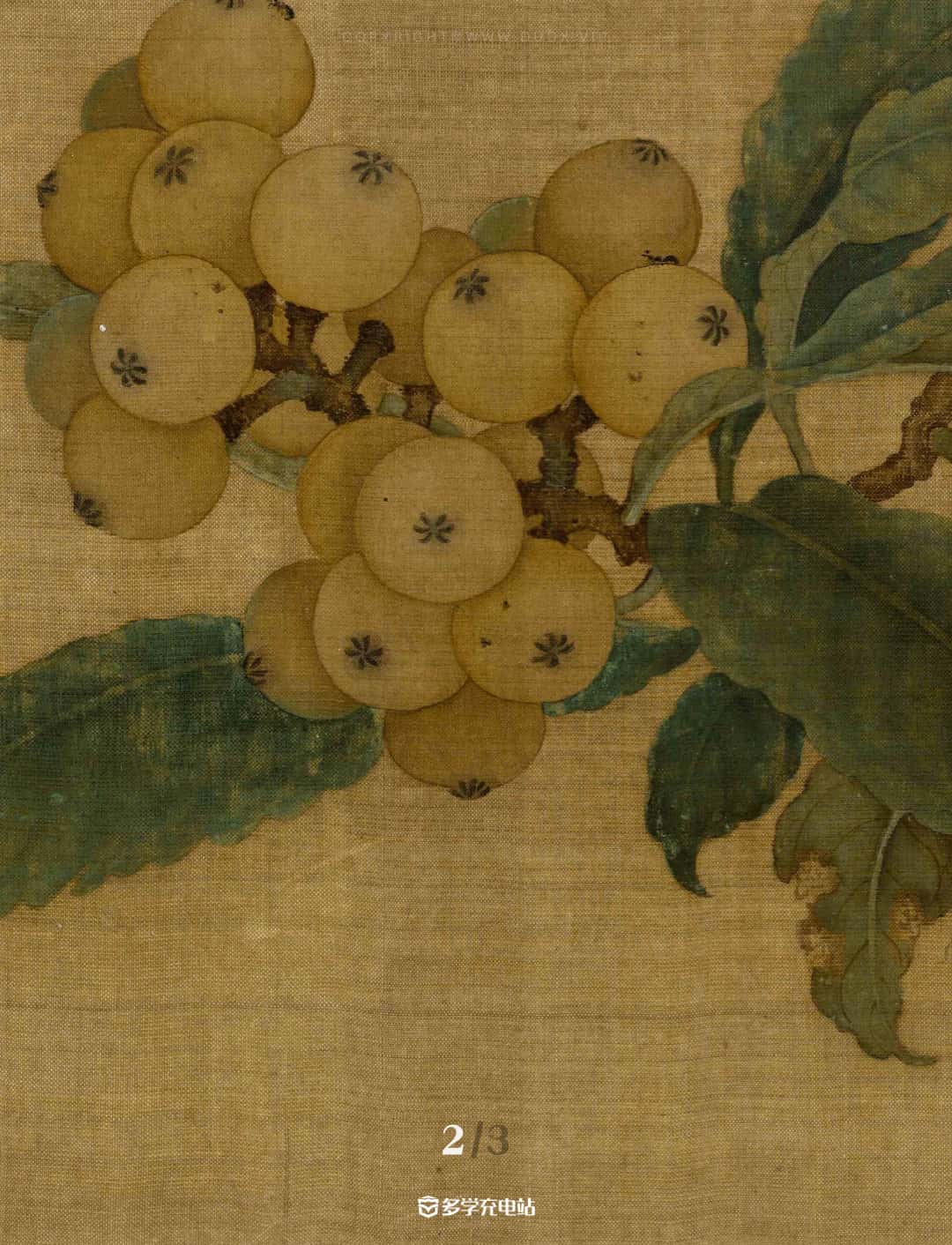 名画｜《枇杷山鸟图》南宋  林椿 赏析下载