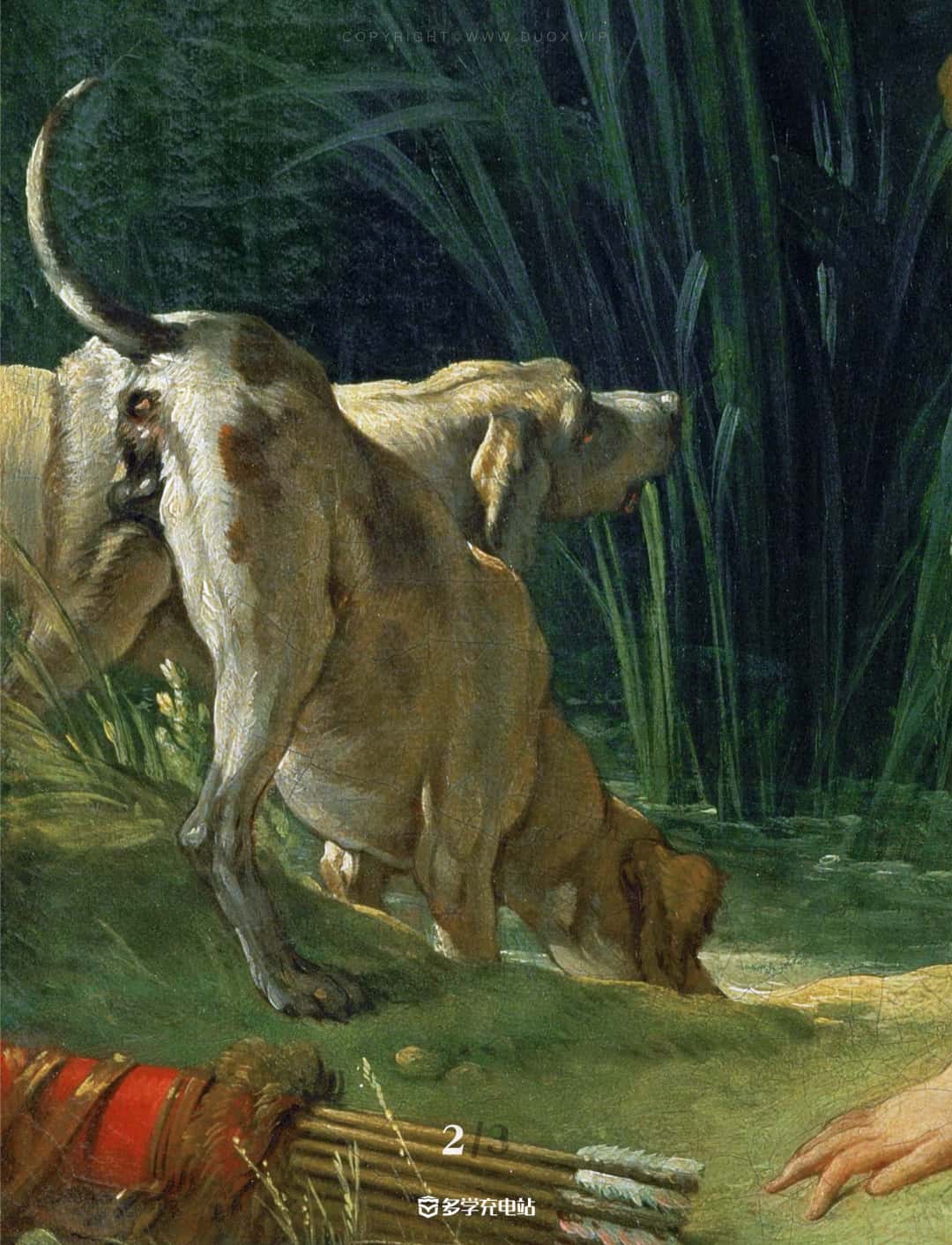 名画赏析｜《狄安娜出浴》弗朗索瓦·布歇 赏析下载