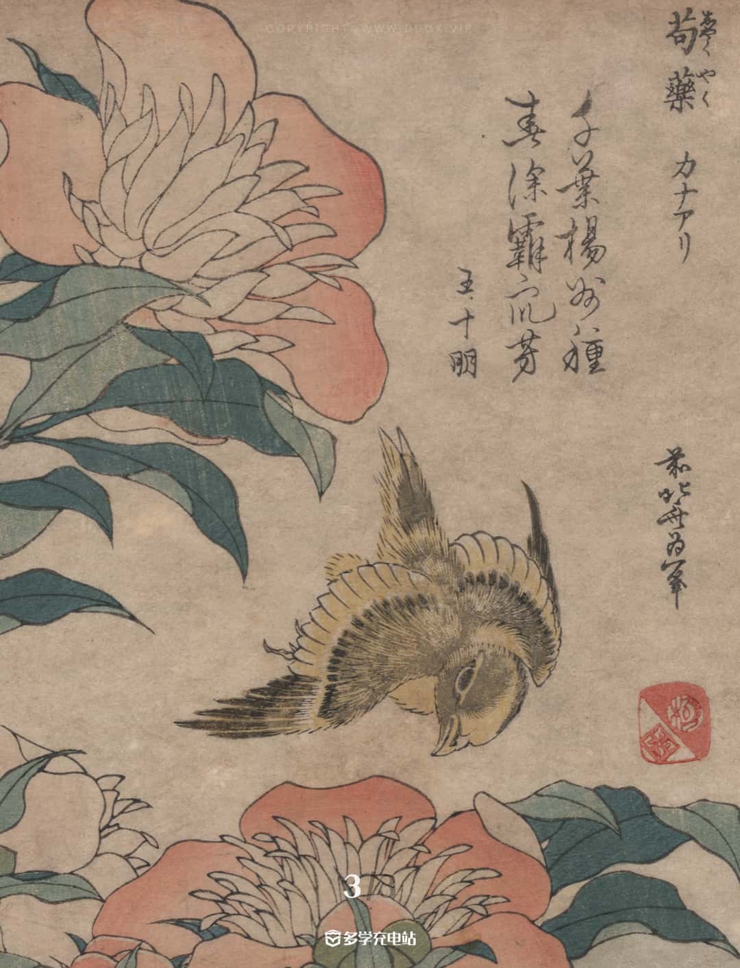 名画赏析|牡丹和金丝雀 1833年-1834年 葛饰北斋 (内含原作下载)