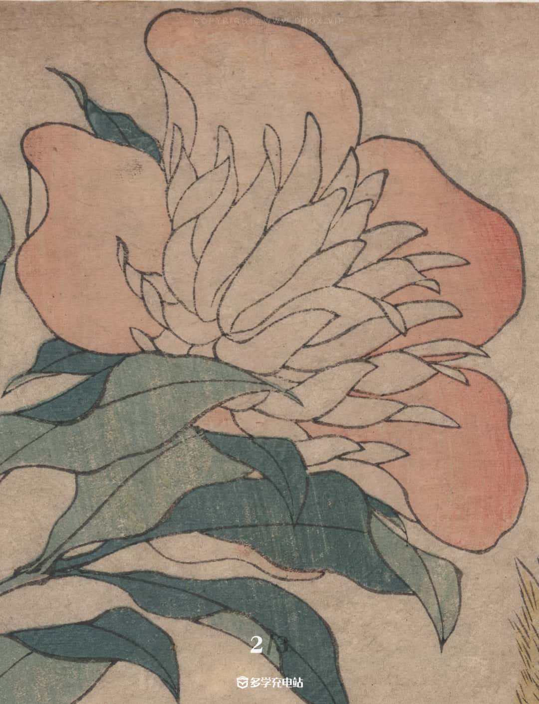 名画赏析|牡丹和金丝雀 1833年-1834年 葛饰北斋 (内含原作下载)