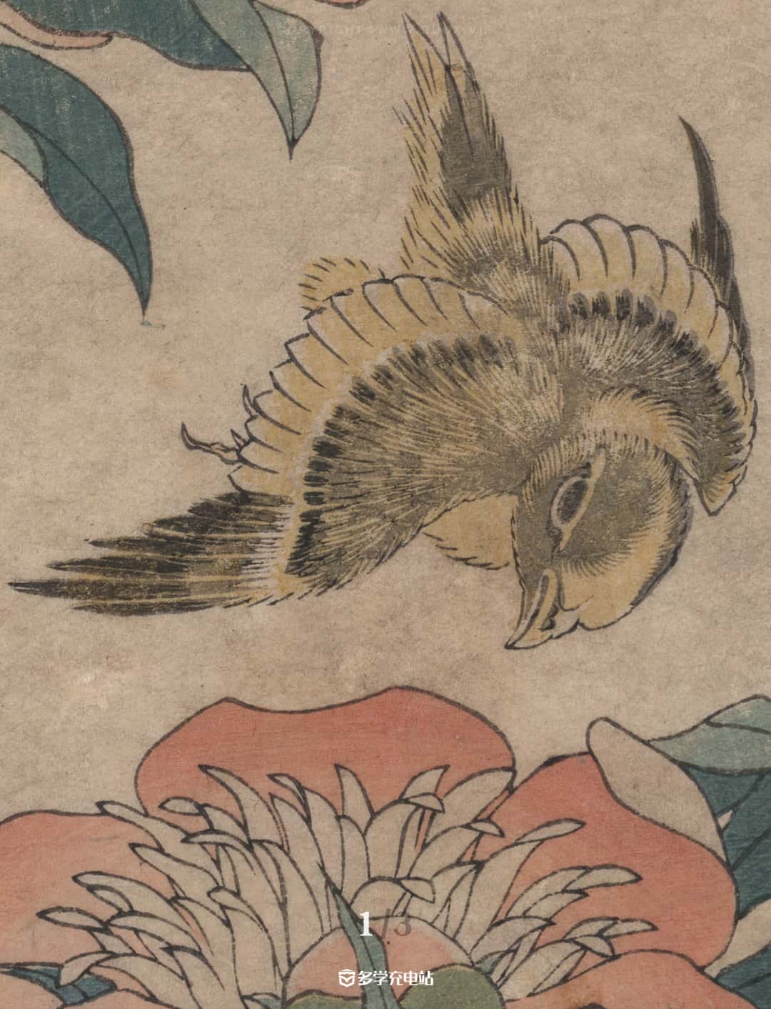 名画赏析|牡丹和金丝雀 1833年-1834年 葛饰北斋 (内含原作下载)