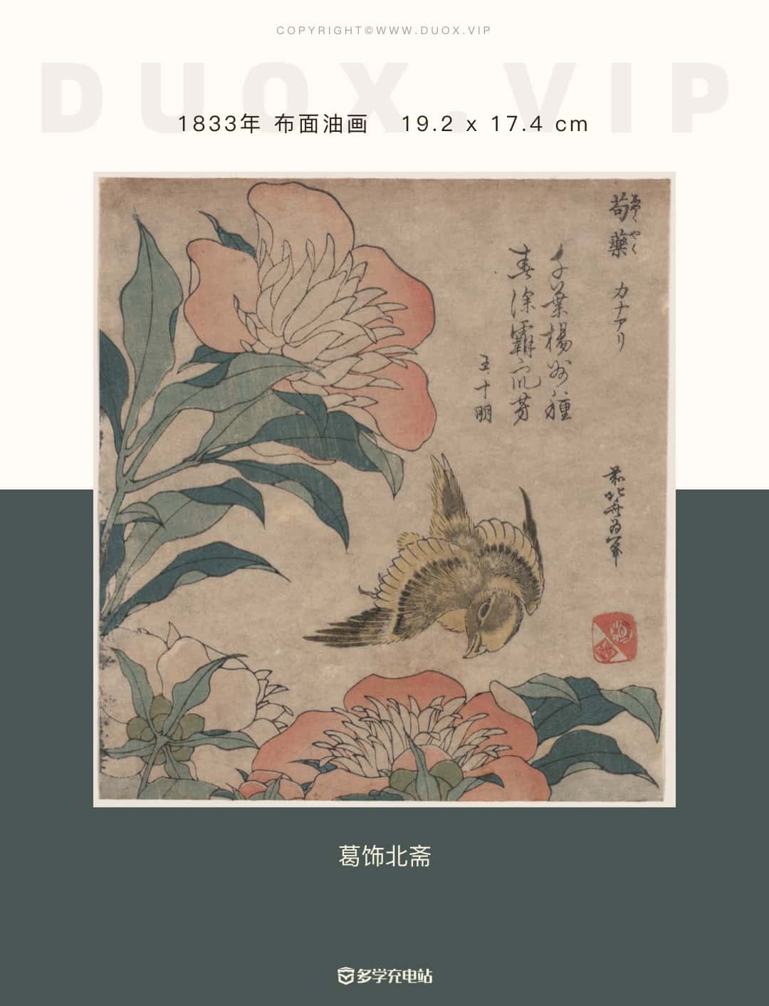 名画赏析|牡丹和金丝雀 1833年-1834年 葛饰北斋 (内含原作下载)
