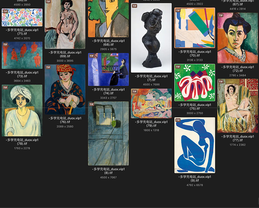 亨利·马蒂斯Henri Matisse法国19.20世纪油画合集 524副 [JPG+TIF/6.86GB] H021