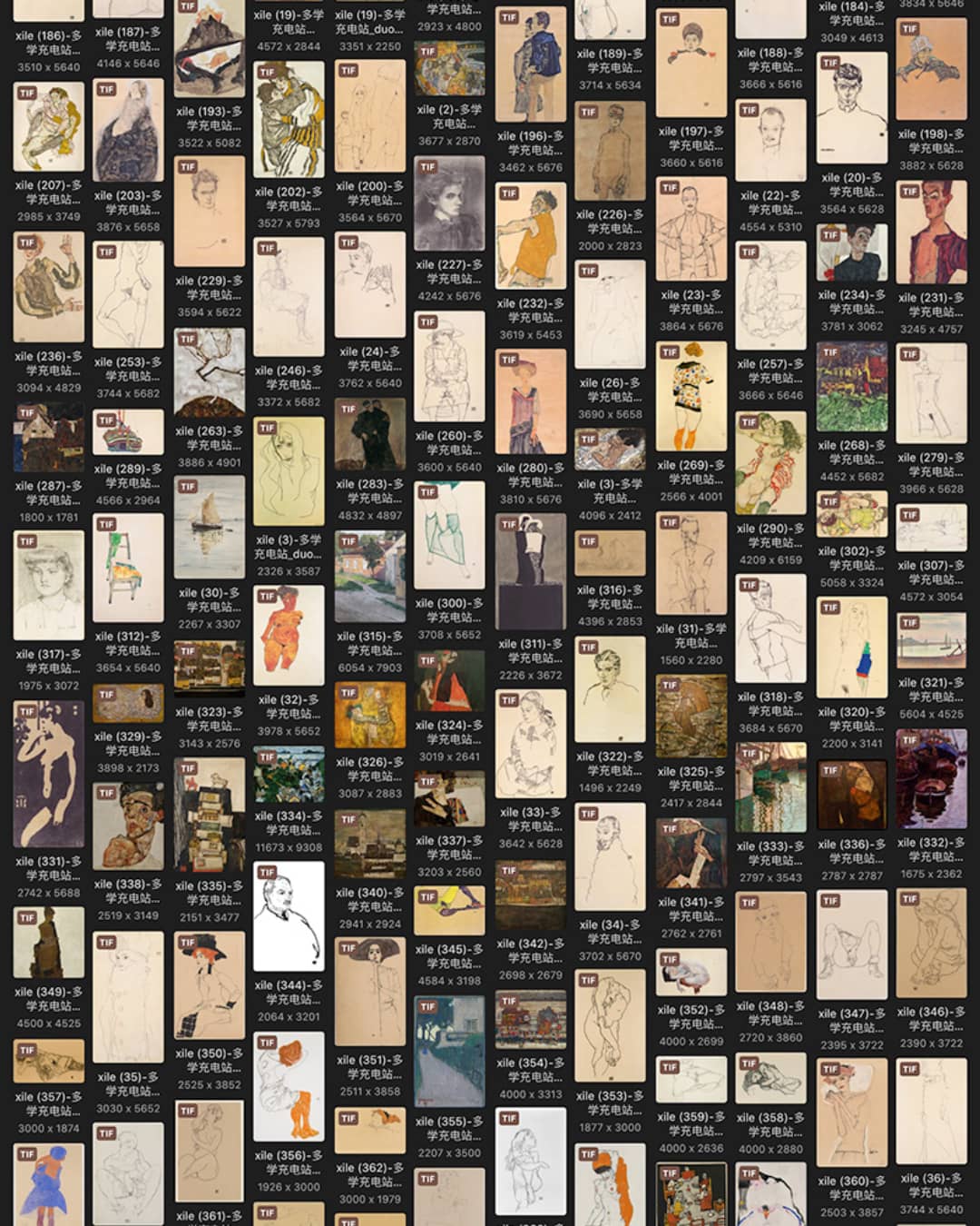 埃贡·席勒 Egon Schiele 奥迪18.19世纪油画合集 919副 [JPG+TIF/15.08GB] H066