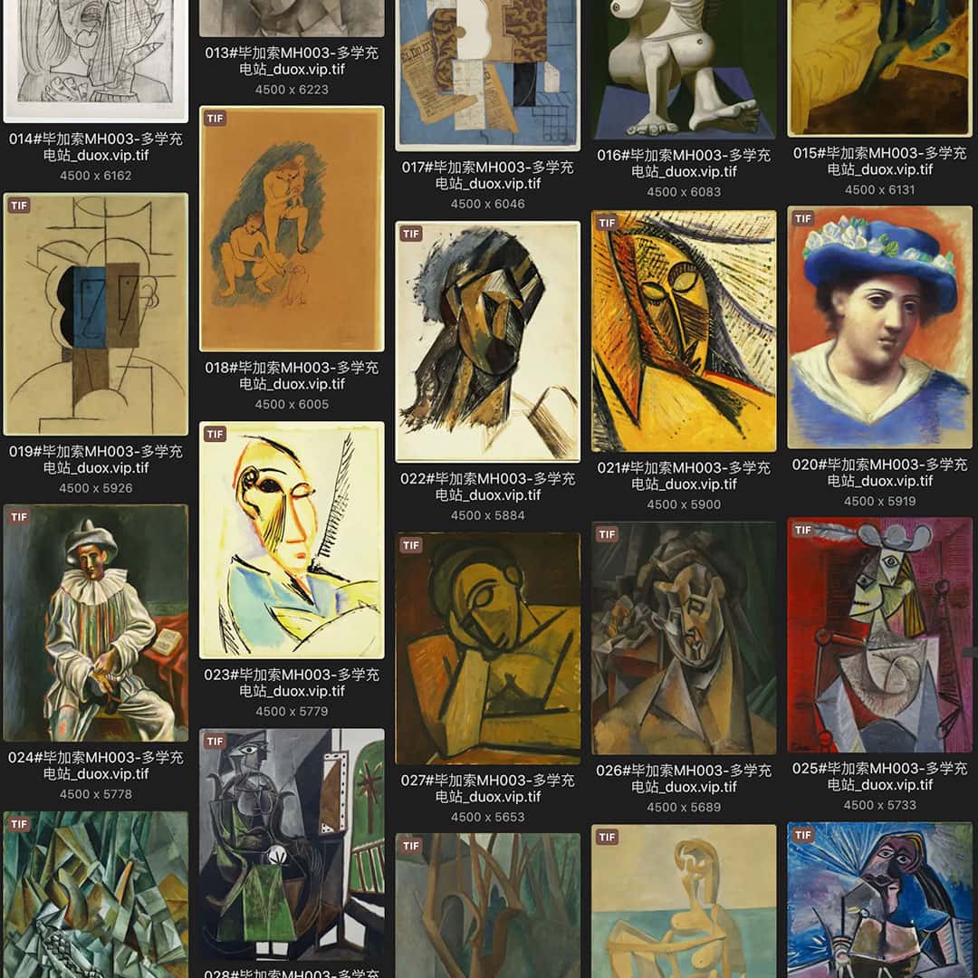 巴勃罗·毕加索 Pablo Picasso 西班牙18.19世纪油画作品合集[361TIF/JPG11.99GB] H017