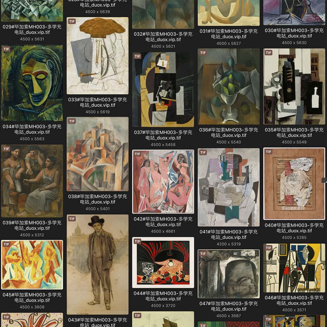 巴勃罗·毕加索 Pablo Picasso 西班牙18.19世纪油画作品合集[361TIF/JPG11.99GB] H017