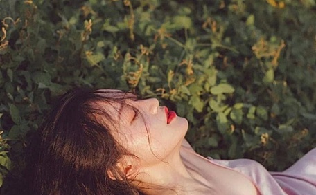 修长气质少女在草地上的空想壁纸