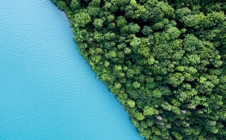 蓝色湖面与绿色的森林一份二位壁纸