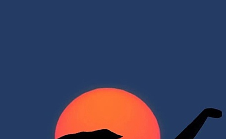 屋脊上的猫刚好落日遮挡壁纸